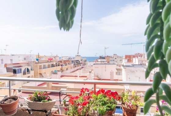 Resale - Apartment - Torrevieja - Centro