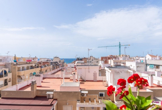 Resale - Apartment - Torrevieja - Centro