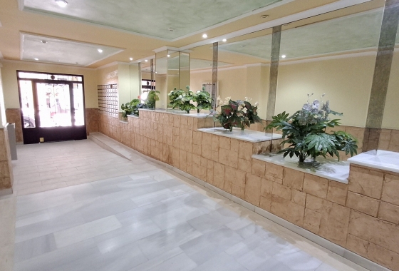 Rynek wtórny - Apartament - Torrevieja