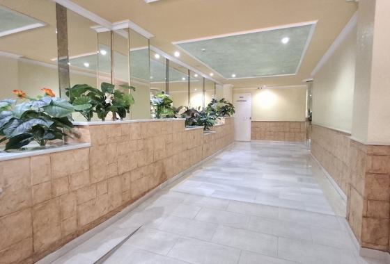 Rynek wtórny - Apartament - Torrevieja