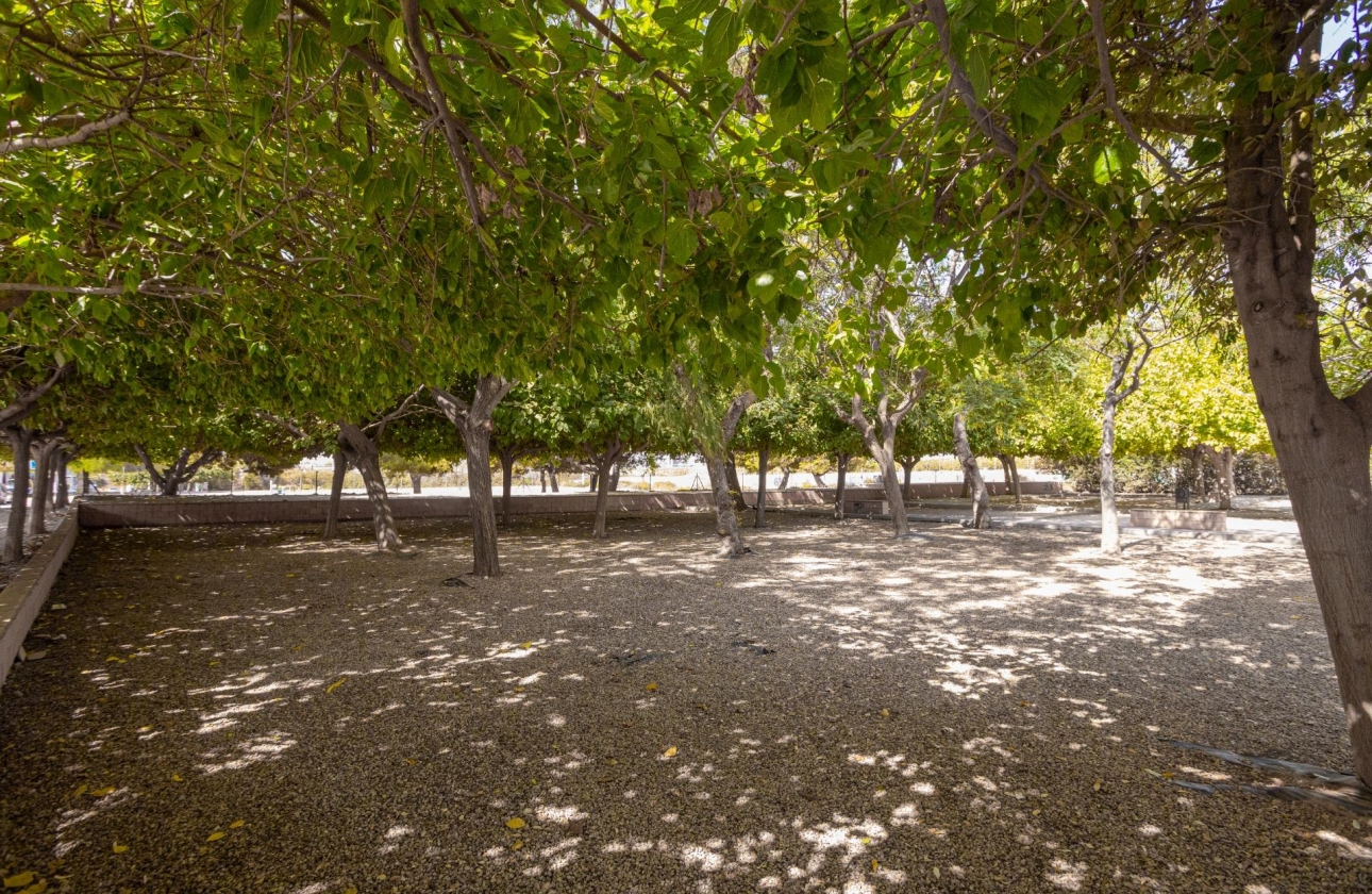 Resale - Bungalow - Torrevieja - Playa De Los Naufragos