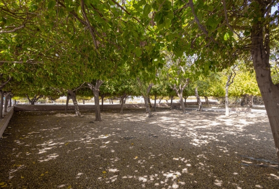 Resale - Bungalow - Torrevieja - Playa De Los Naufragos