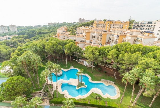 Rynek wtórny - Apartament - Orihuela Costa - Campoamor