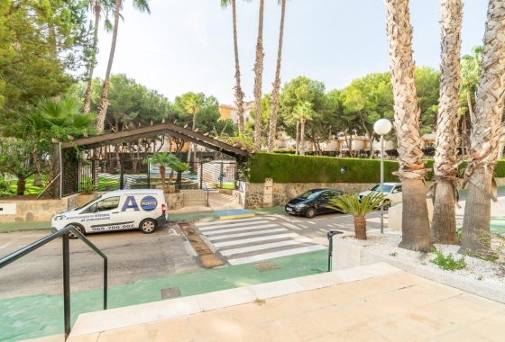 Rynek wtórny - Apartament - Orihuela Costa - Campoamor