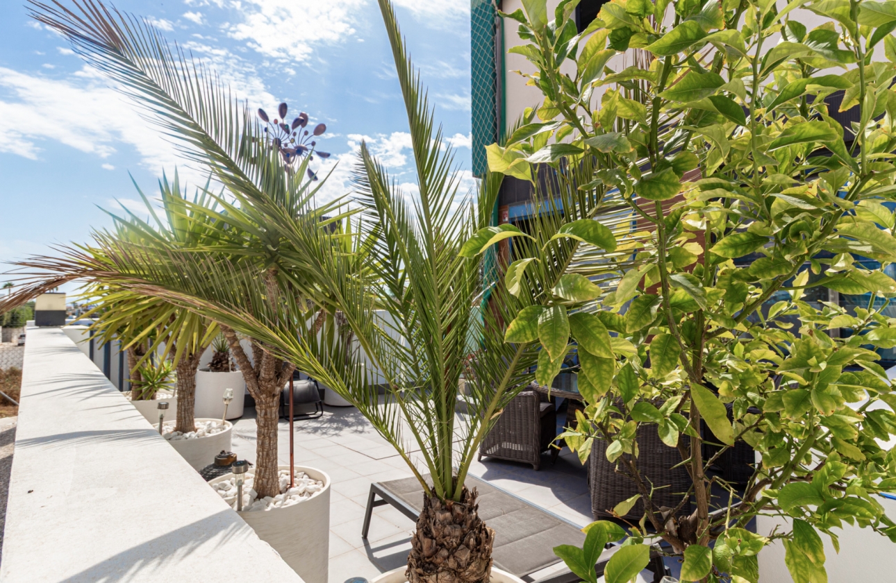 Reventa - Apartment - Orihuela Costa - Villacosta