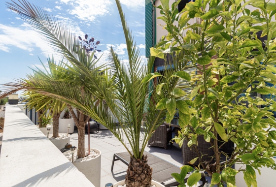 Reventa - Apartment - Orihuela Costa - Villacosta
