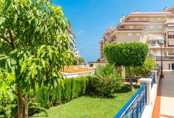 Alquiler a largo plazo - Apartment - Torrevieja - La Mata