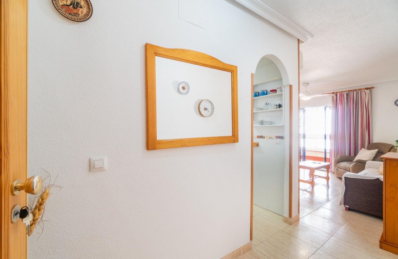 Alquiler a largo plazo - Apartment - Torrevieja - La Mata