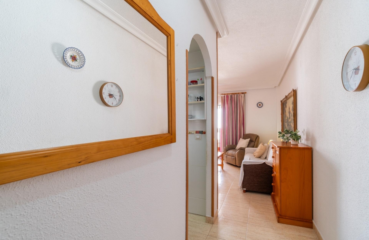 Alquiler a largo plazo - Apartment - Torrevieja - La Mata