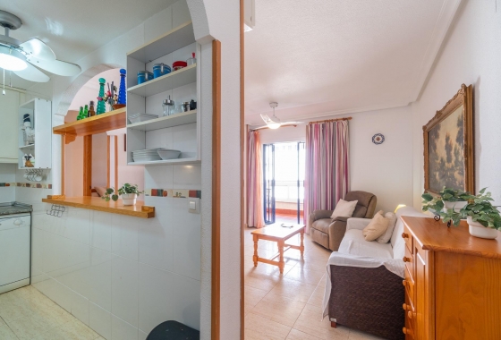 Alquiler a largo plazo - Apartment - Torrevieja - La Mata