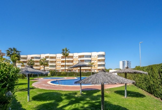 Rynek wtórny - Apartament - Orihuela Costa - Campoamor