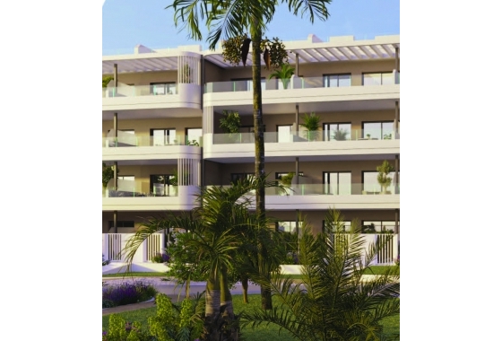 Rynek pierwotny - Penthouse - Torrevieja