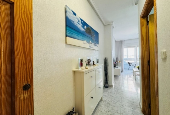 Rynek wtórny - Apartament - Torrevieja - Torrevista Playa