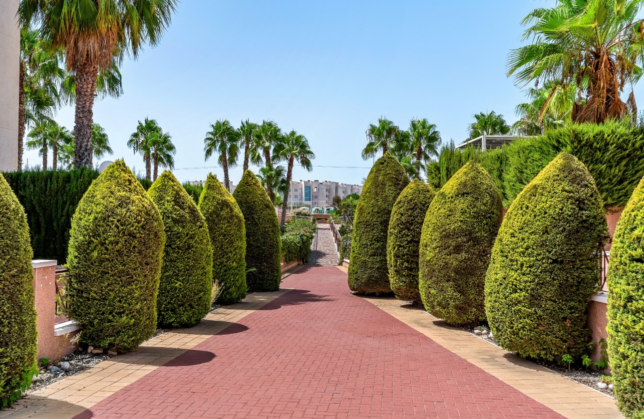 Reventa - Apartment - Orihuela Costa - Playa Flamenca