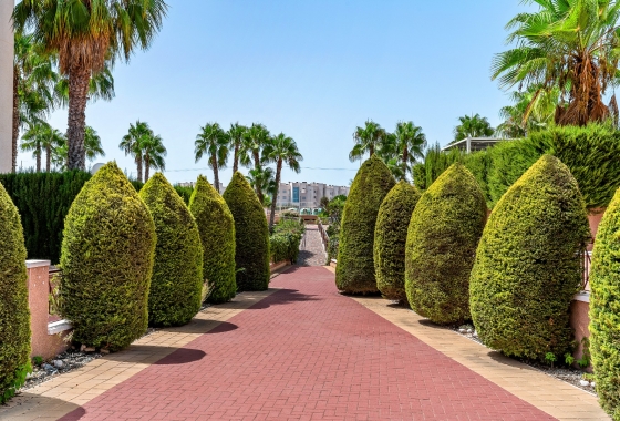 Reventa - Apartment - Orihuela Costa - Playa Flamenca