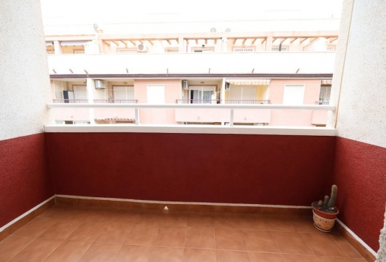 Rynek wtórny - Apartament - Torrevieja - Parque de las Naciones