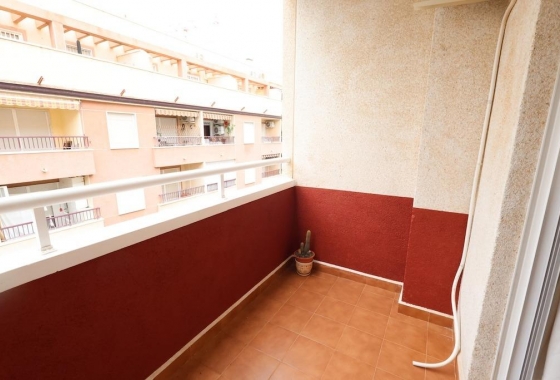 Rynek wtórny - Apartament - Torrevieja - Parque de las Naciones