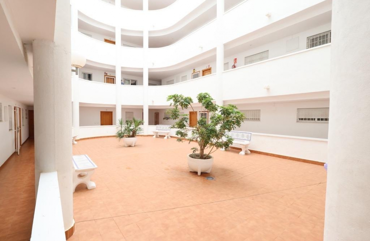 Rynek wtórny - Apartament - Torrevieja - Parque de las Naciones