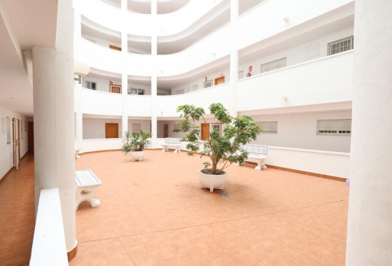 Rynek wtórny - Apartament - Torrevieja - Parque de las Naciones