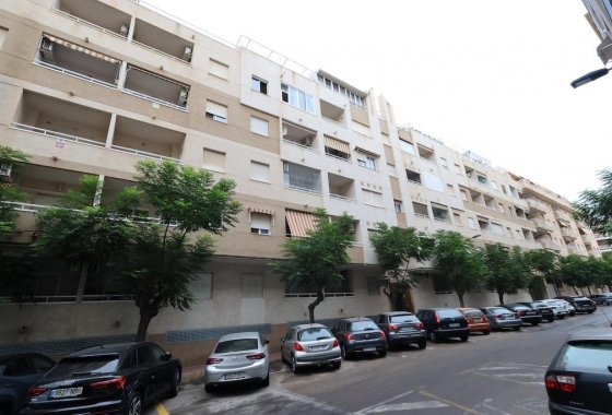 Rynek wtórny - Apartament - Torrevieja - Parque de las Naciones