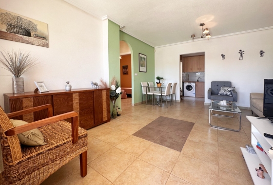 Rynek wtórny - Bungalow - ﻿Torrevieja (Alicante) - Spain