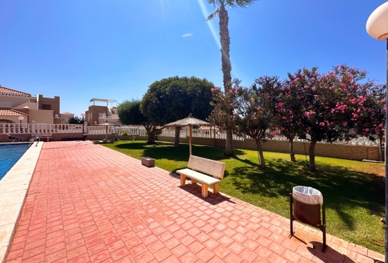 Rynek wtórny - Bungalow - ﻿Torrevieja (Alicante) - Spain