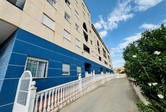 Resale - Apartment - Torrevieja - Pinada Beach II