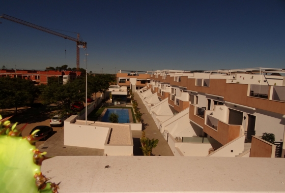 Rynek pierwotny - Apartament - Pilar de la Horadada