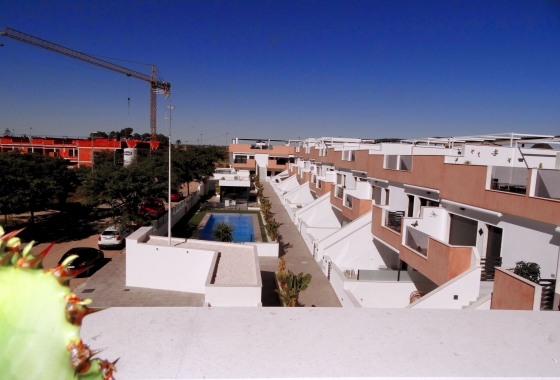 Rynek pierwotny - Apartament - Pilar de la Horadada