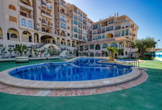 Reventa - Apartment - Torrevieja - Torre del moro