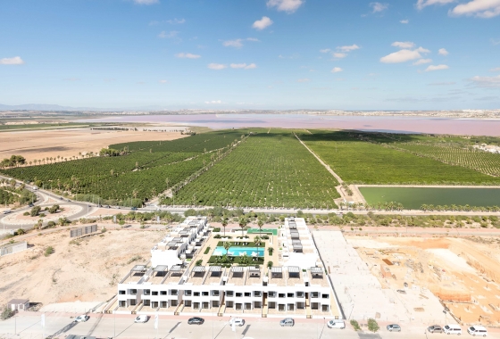 New Build - Apartment - Torrevieja
