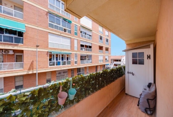 Resale - Apartment - Torrevieja - Playa De Los Naufragos