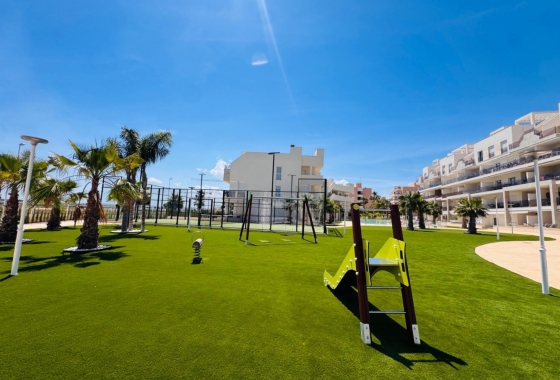 Rynek wtórny - Apartament - Guardamar del Segura - El Raso