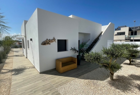 Obra nueva - Detached - Rafal