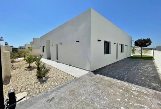 Obra nueva - Detached - Rafal