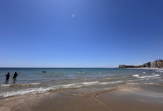 Wynajem długoterminowy - Apartament - Torrevieja - Playa de los Locos