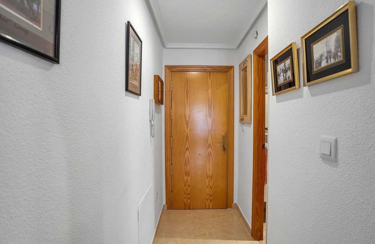 Reventa - Apartment - Torrevieja - Estacion de autobuses