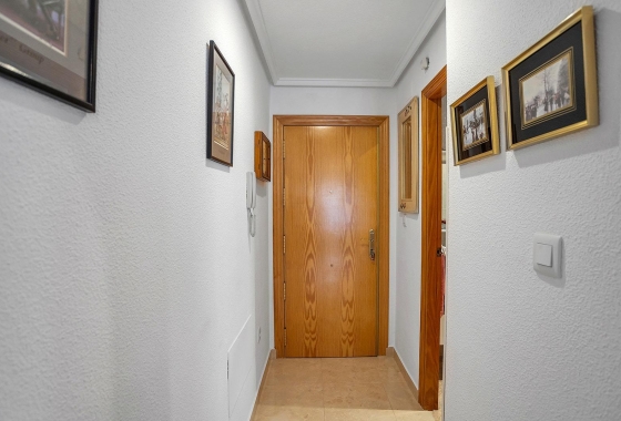 Reventa - Apartment - Torrevieja - Estacion de autobuses