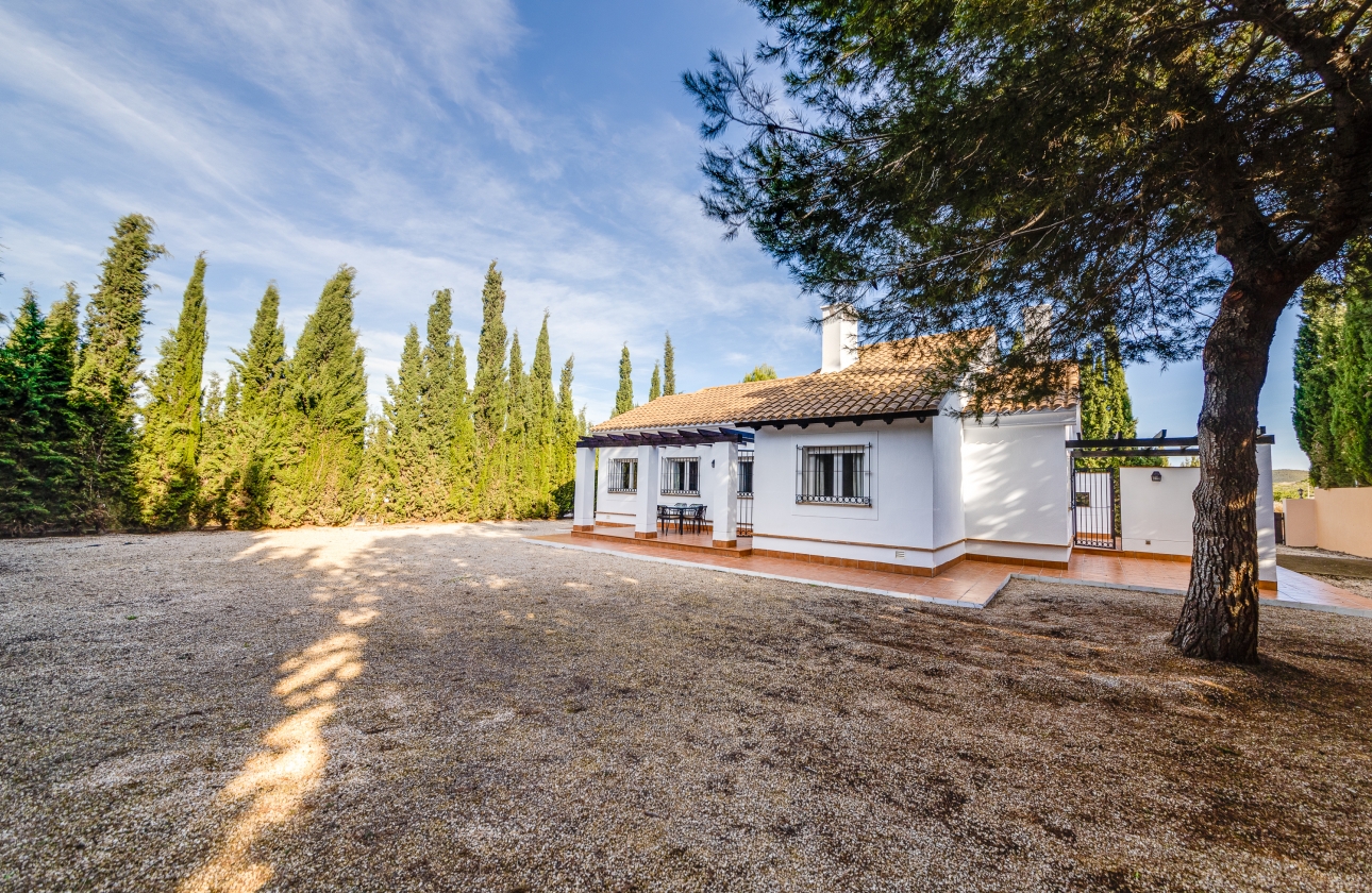 New Build - Detached - Fuente Álamo