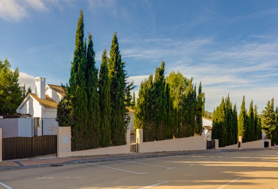 New Build - Detached - Fuente Álamo