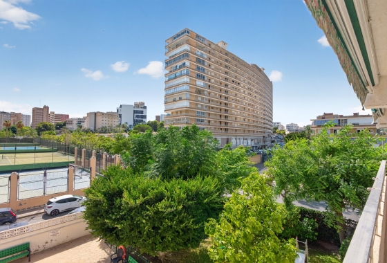 Reventa - Apartment - Alicante - Avenida San Sebastián, 8