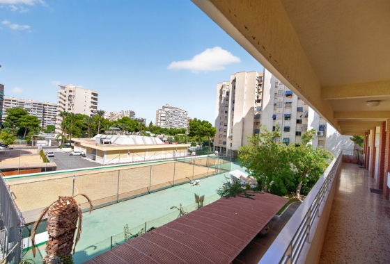 Reventa - Apartment - Alicante - Avenida San Sebastián, 8