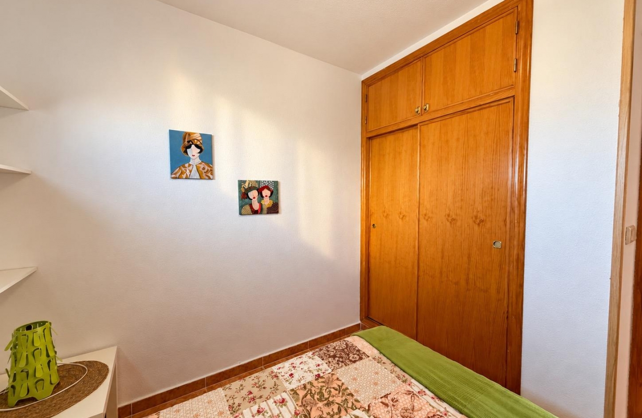 Rynek wtórny - Apartament - Torrevieja - Nueva Torrevieja
