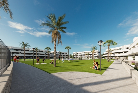 Obra nueva - Apartment - Guardamar del Segura - Guardamar del segura