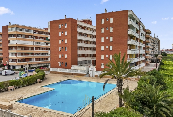 Reventa - Ático - Torrevieja - Rocio Del Mar