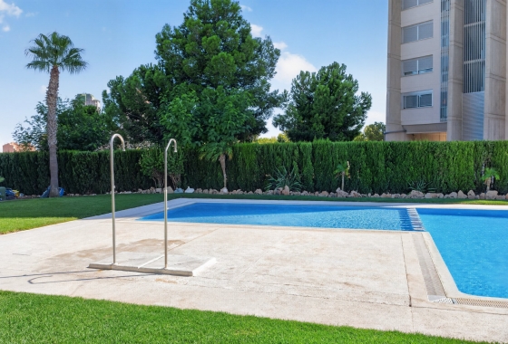 Reventa - Duplex - Benidorm - Calle Presidente Adolfo Suárez