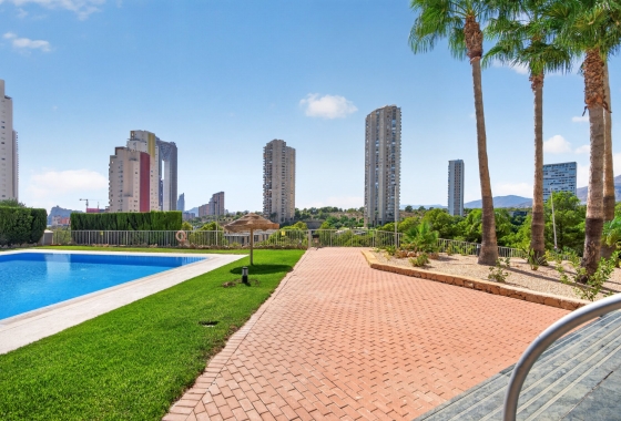 Reventa - Duplex - Benidorm - Calle Presidente Adolfo Suárez