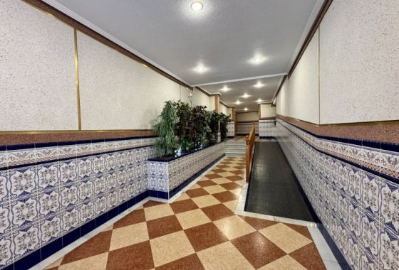 Reventa - Apartment - Torrevieja - La Mata