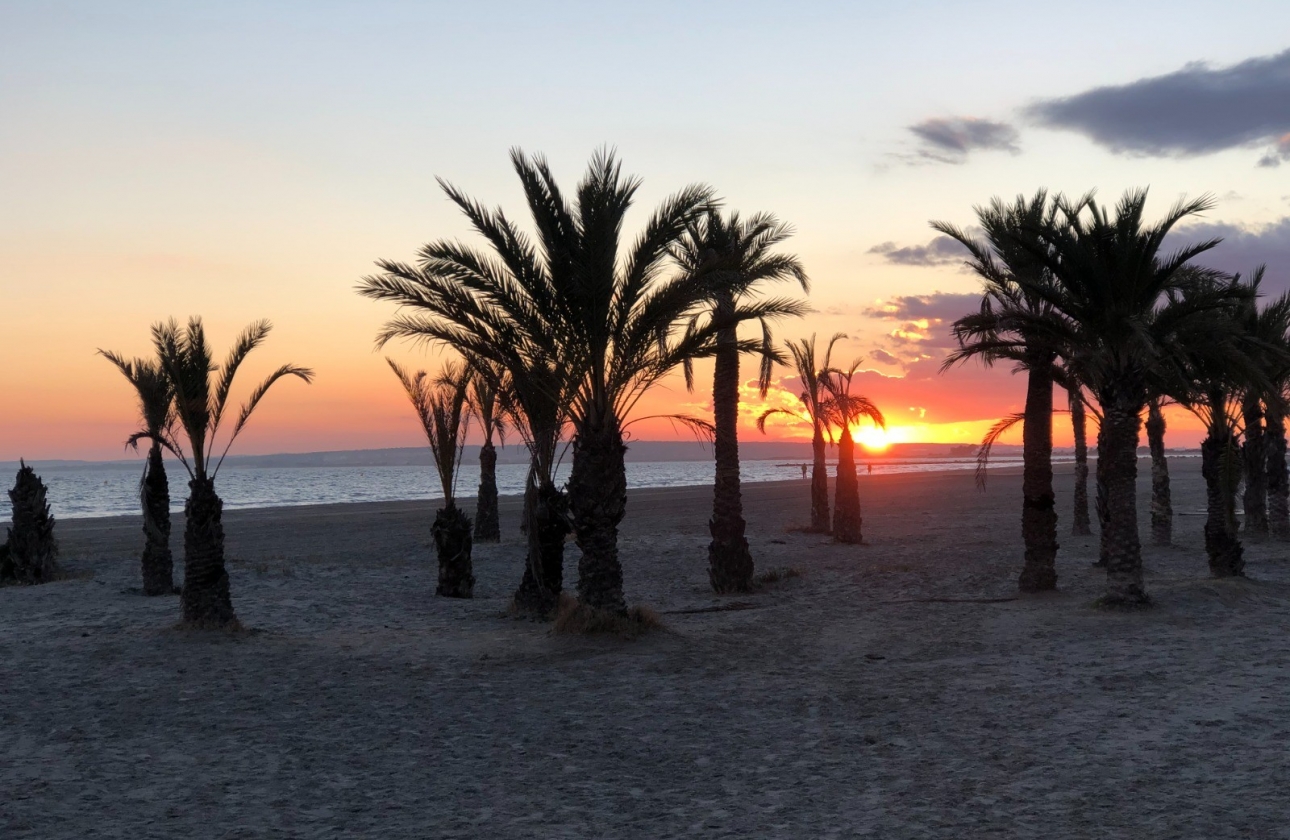 Resale - Apartment - Santa Pola