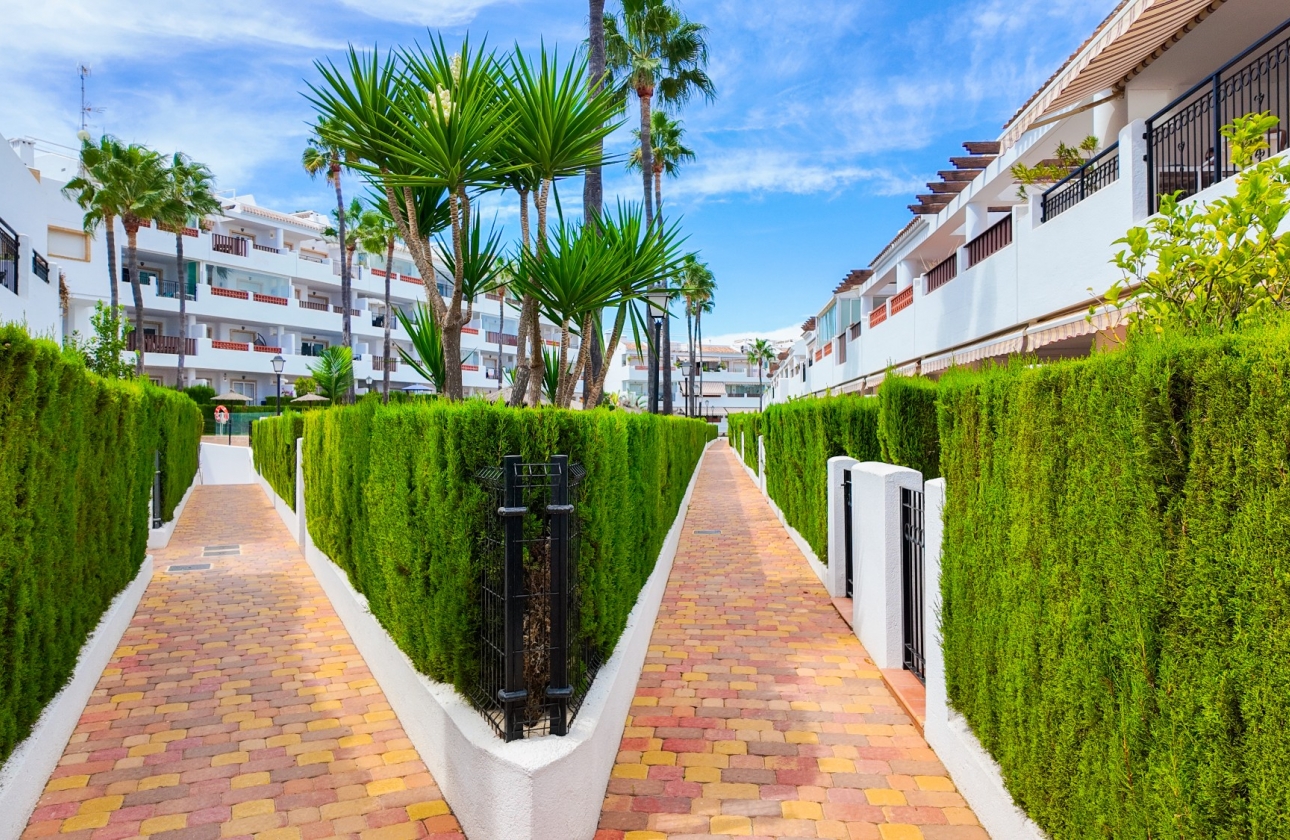 Rynek wtórny - Apartament - Orihuela Costa - Villamartín